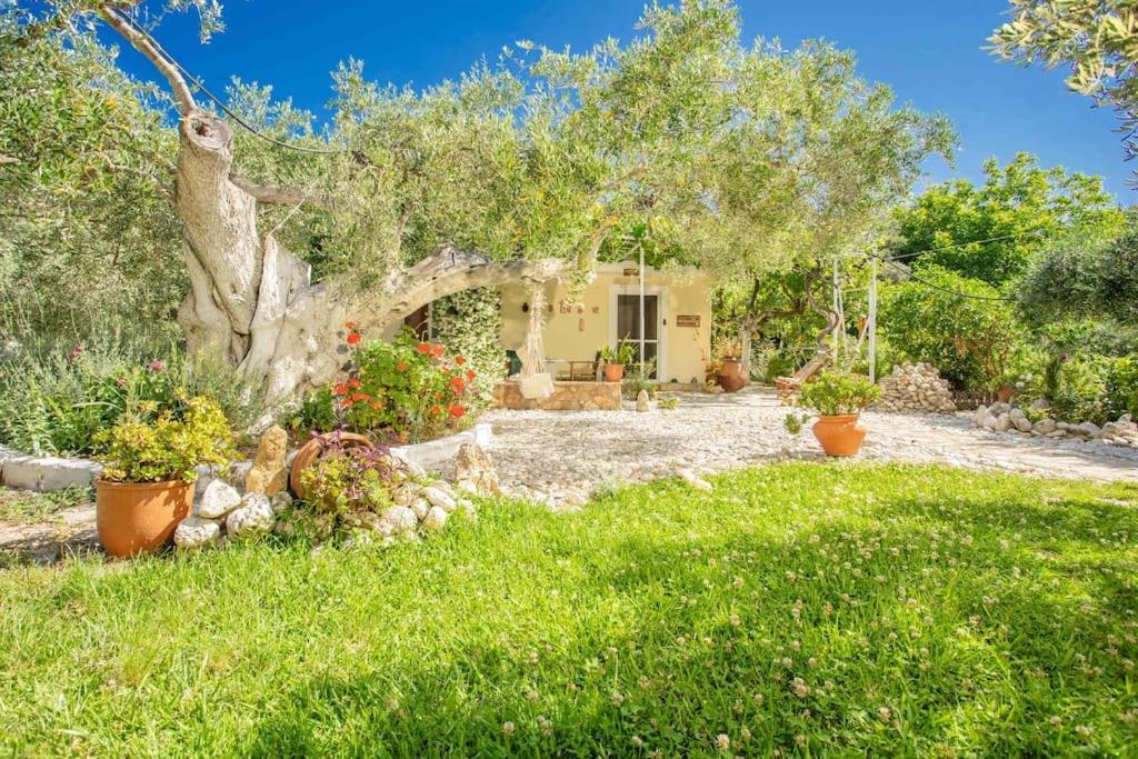 Anthia Private Studio A Breath Away From Beaches Áyios Nikítas Eksteriør bilde